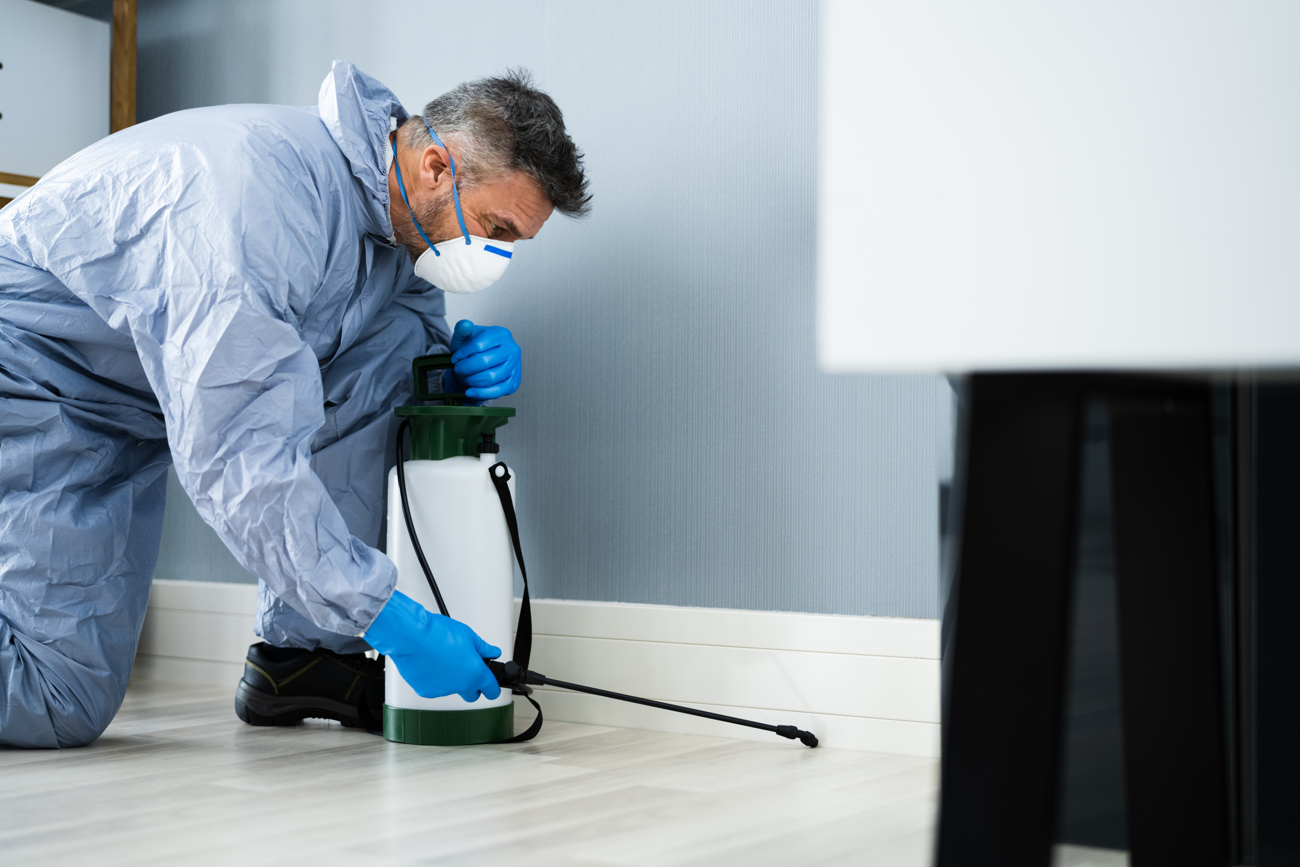 Pest Control Exterminator Man Spraying Pesticide